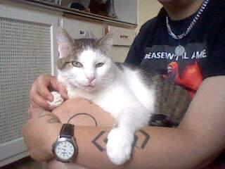 Herman in David's arms.