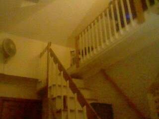 Herman standing at the top of the stairs to our loft looking down at me.