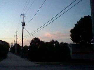 photo of power lines and tops of trees and houses in the early morning.